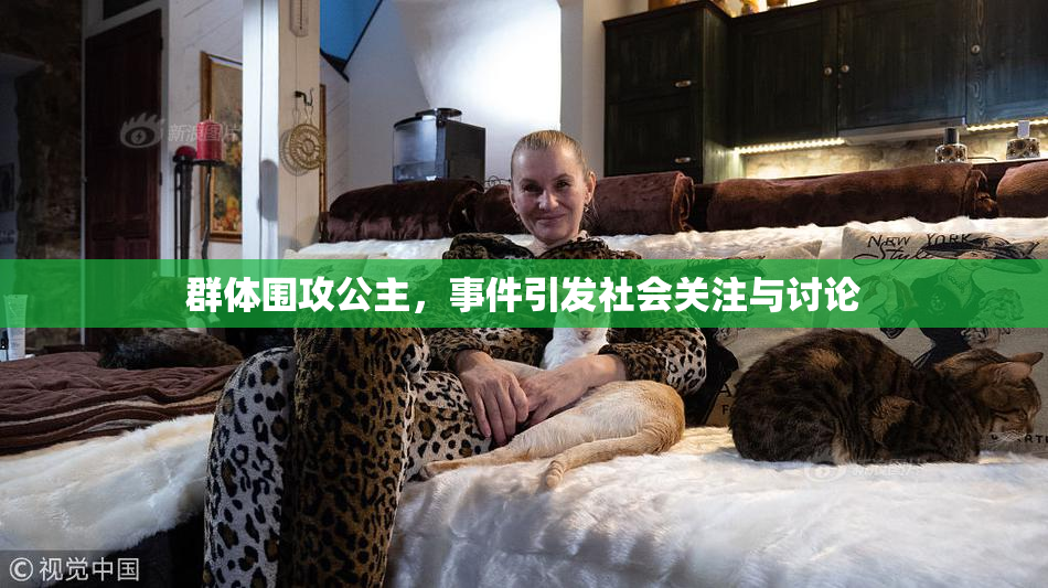 群体围攻公主，事件引发社会关注与讨论