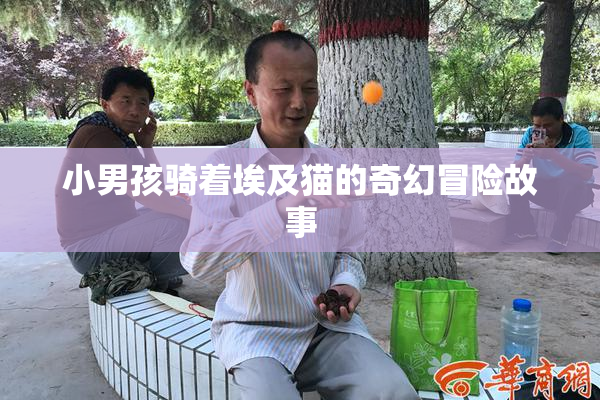 小男孩骑着埃及猫的奇幻冒险故事