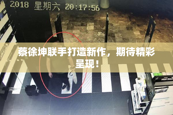 蔡徐坤联手打造新作，期待精彩呈现！