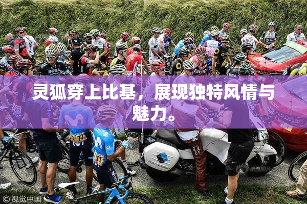 灵狐穿上比基，展现独特风情与魅力。