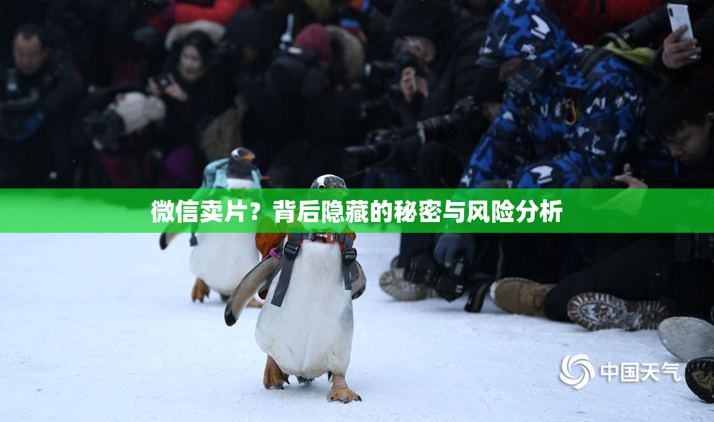 微信卖片？背后隐藏的秘密与风险分析