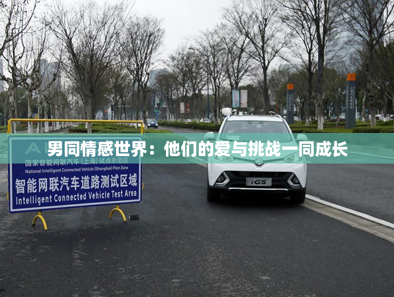 男同情感世界：他们的爱与挑战一同成长