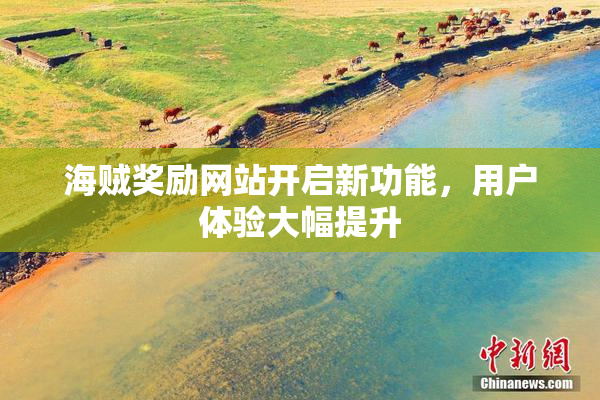 海贼奖励网站开启新功能，用户体验大幅提升
