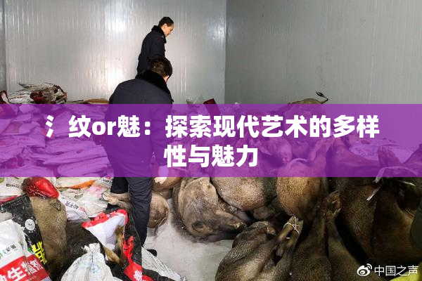 氵纹or魅：探索现代艺术的多样性与魅力