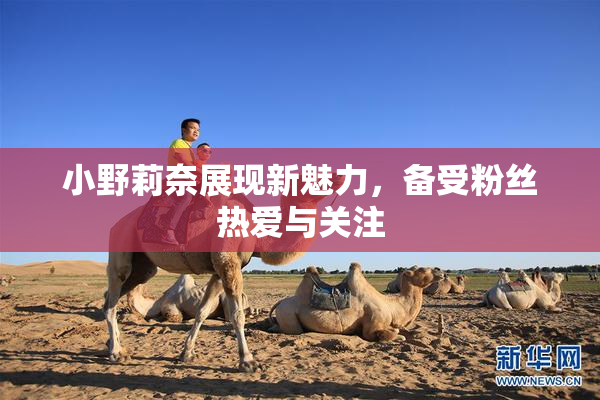 小野莉奈展现新魅力，备受粉丝热爱与关注