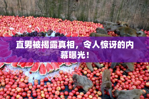 直男被揭露真相，令人惊讶的内幕曝光！