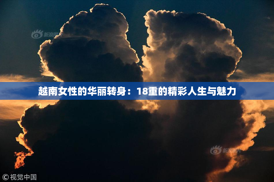 越南女性的华丽转身：18重的精彩人生与魅力