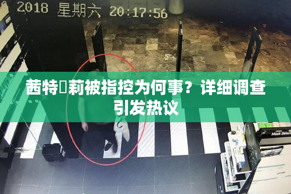 茜特菈莉被指控为何事？详细调查引发热议
