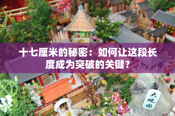十七厘米的秘密：如何让这段长度成为突破的关键？