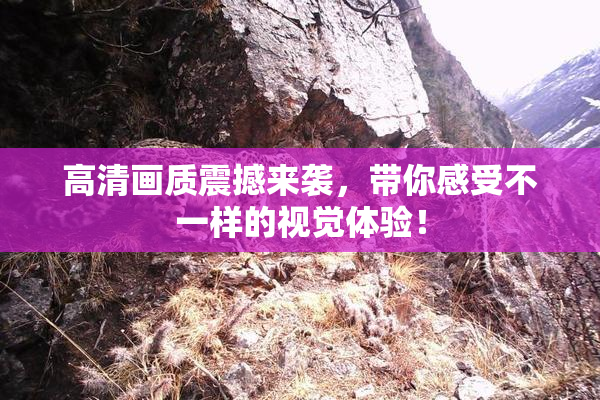 高清画质震撼来袭，带你感受不一样的视觉体验！