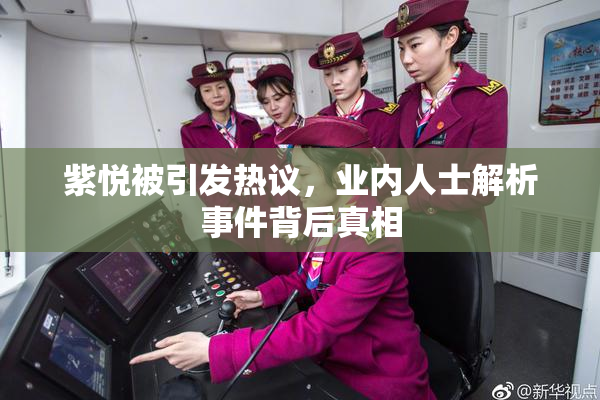 紫悦被引发热议，业内人士解析事件背后真相