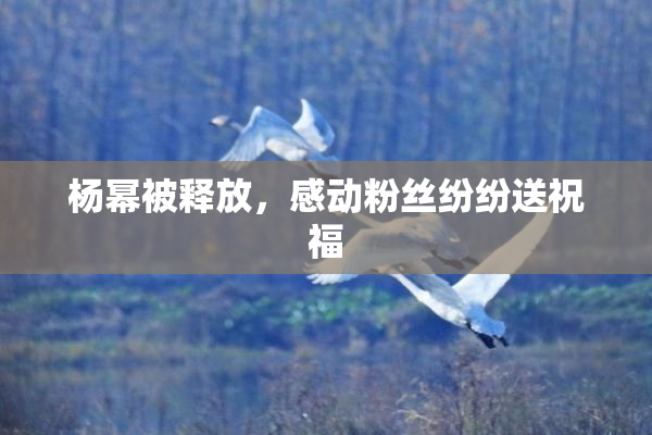 杨幂被释放，感动粉丝纷纷送祝福