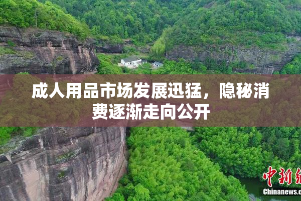 成人用品市场发展迅猛，隐秘消费逐渐走向公开