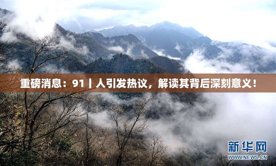 重磅消息：91丨人引发热议，解读其背后深刻意义！