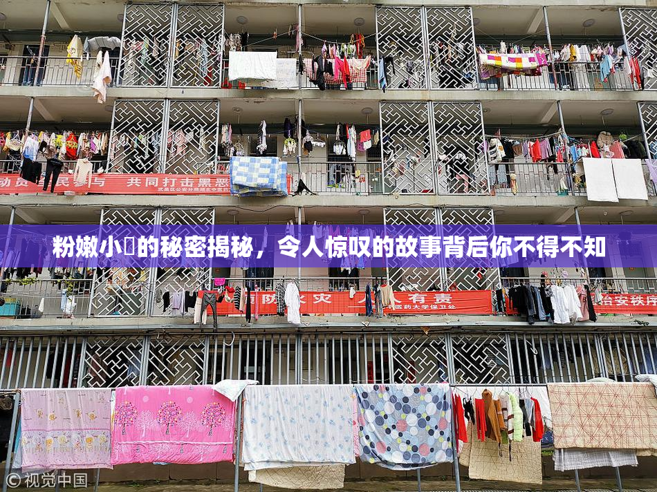 粉嫩小泬的秘密揭秘，令人惊叹的故事背后你不得不知