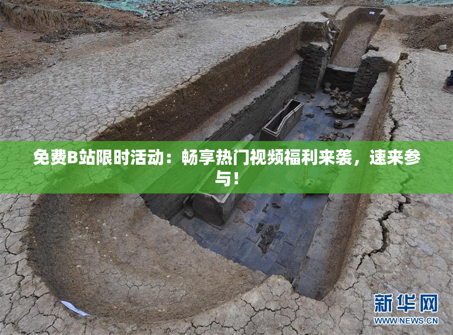 免费B站限时活动：畅享热门视频福利来袭，速来参与！