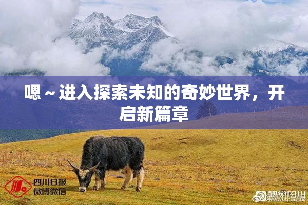 嗯～进入探索未知的奇妙世界，开启新篇章
