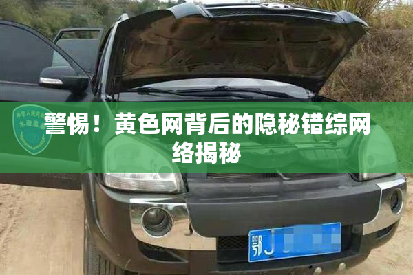 警惕！黄色网背后的隐秘错综网络揭秘