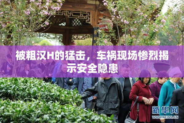 被粗汉H的猛击，车祸现场惨烈揭示安全隐患