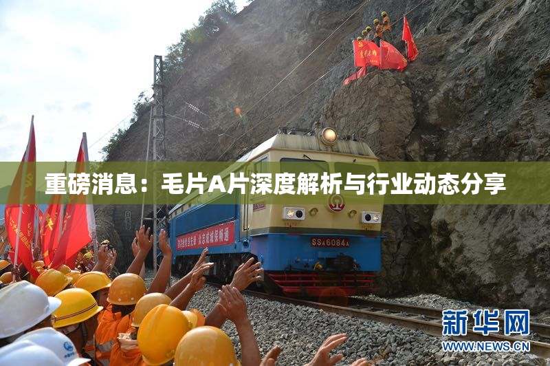 重磅消息：毛片A片深度解析与行业动态分享