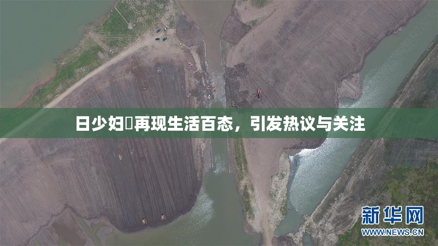 日少妇乄再现生活百态，引发热议与关注