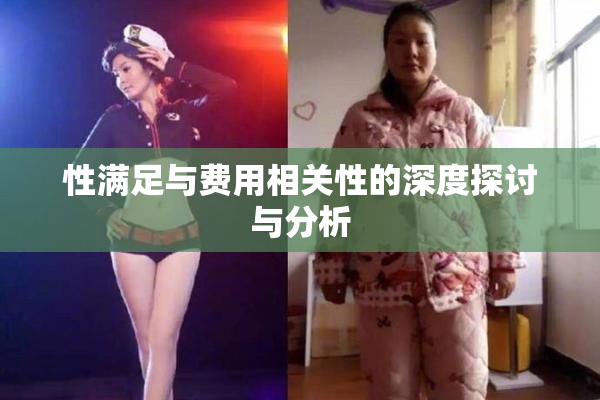 性满足与费用相关性的深度探讨与分析