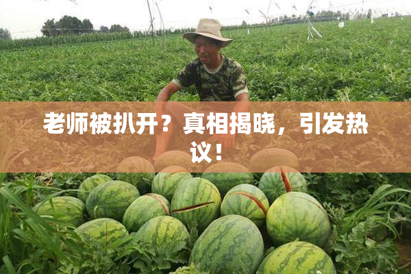 老师被扒开？真相揭晓，引发热议！