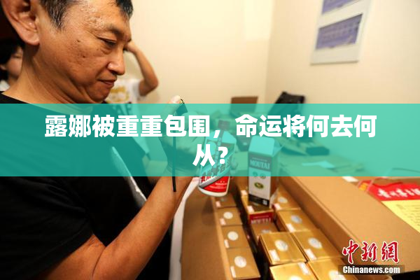 露娜被重重包围，命运将何去何从？