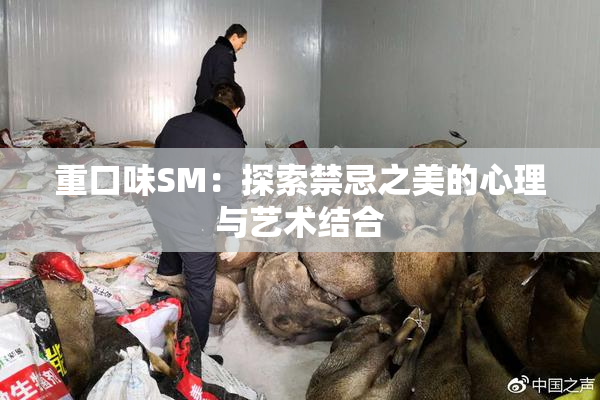 重口味SM：探索禁忌之美的心理与艺术结合