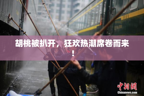 胡桃被扒开，狂欢热潮席卷而来！