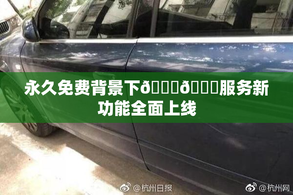 永久免费背景下🔞🔞服务新功能全面上线