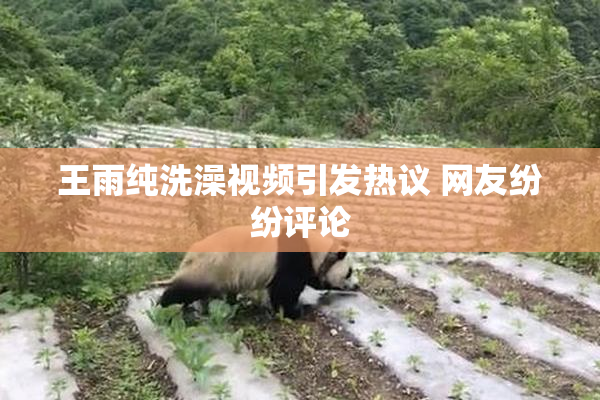 王雨纯洗澡视频引发热议 网友纷纷评论