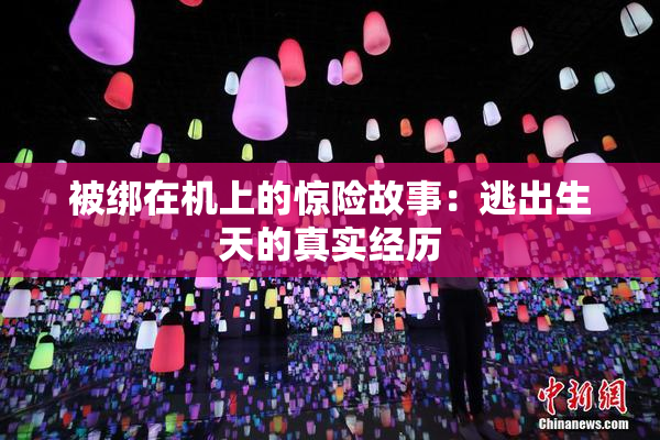 被绑在机上的惊险故事：逃出生天的真实经历