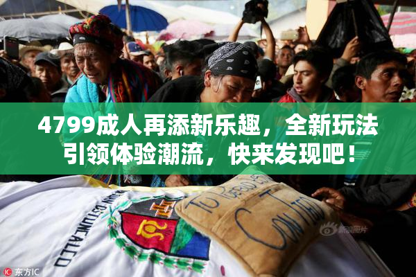 4799成人再添新乐趣，全新玩法引领体验潮流，快来发现吧！