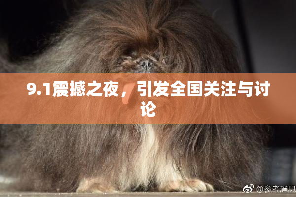 9.1震撼之夜，引发全国关注与讨论