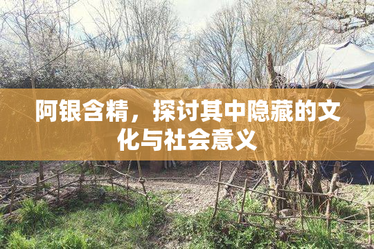 阿银含精，探讨其中隐藏的文化与社会意义