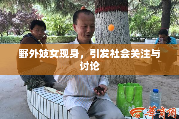 野外妓女现身，引发社会关注与讨论