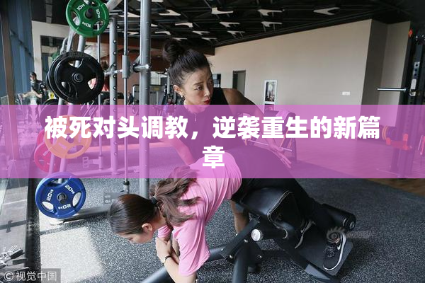被死对头调教，逆袭重生的新篇章