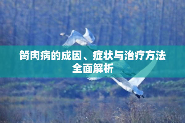胬肉病的成因、症状与治疗方法全面解析